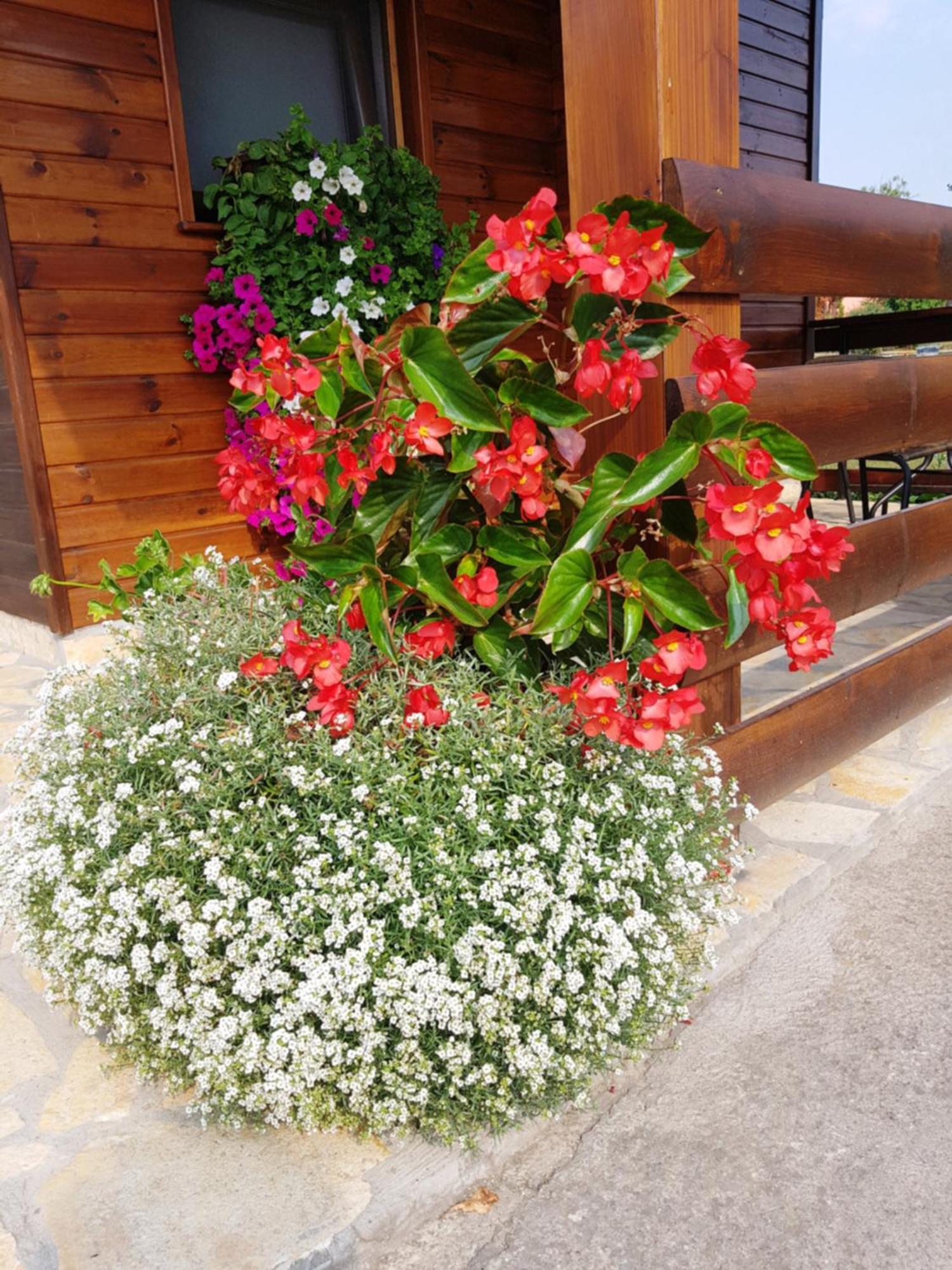 Apartments Sanja ราโควิซา ภายนอก รูปภาพ
