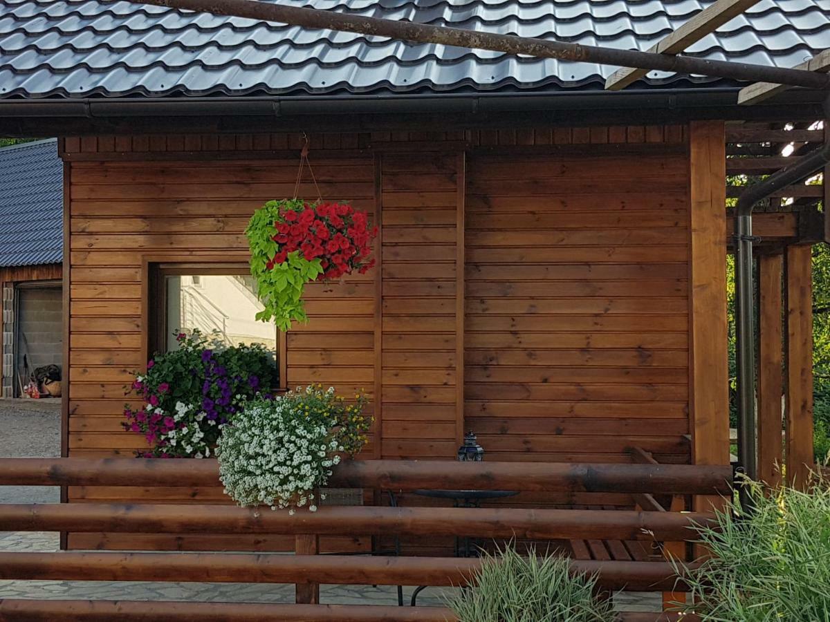 Apartments Sanja ราโควิซา ภายนอก รูปภาพ